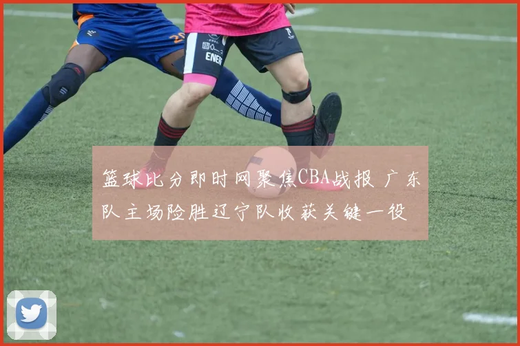 篮球比分即时网聚焦CBA战报 广东队主场险胜辽宁队收获关键一役